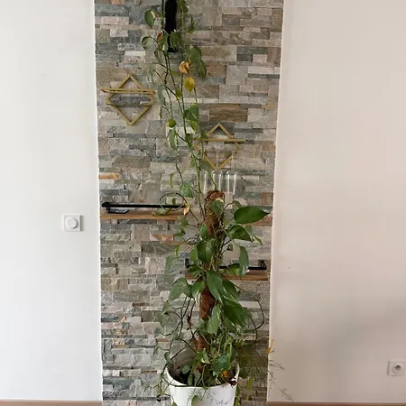 Beautiful 2-bedroom With Air Conditioning - Tram - Balconies - Quiet Διαμέρισμα *